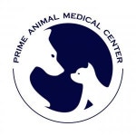 [프라임동물의료센터] [프라임 동물의료센터] 강동구 동물병원 수의테크니션 구인 - 사람인