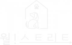 [월스트리트애견유치원] 애견미용 정규직 채용(경력무관) - 사람인