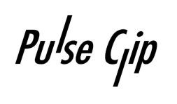 주식회사펄스클립 직무리포트 | 2026년 합격전략, 역량체크, 멘토링 등 - 사람인