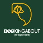 [주식회사 도킹어바웃] 반려견 문화센터 1층 라운지 매니저 - 사람인