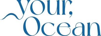 유어오션(Yourocean) 2024년 재무정보 | 매출액 3억원 영업이익... 유어오션(Yourocean) 2024년 재무정보 | 매출액  3억원 영업이익, 자본금... 