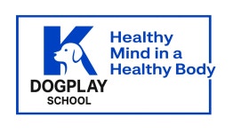 주식회사케이도그스포츠직업전문-학교 채용 | 2026년 진행 중인 공고 - 사람인 주식회사케이도그스포츠직업전문-학교 채용 | 2026년 진행 중인... 