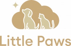 [주식회사다솜] 반려동물장례식장 장례지도선생님 구인공고 - 사람인