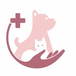 [다나은동물의료센터] 다나은동물의료센터 애견미용 서비스 채용 - 사람인