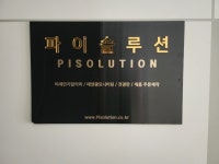 파이솔루션 직무리포트 | 2026년 합격전략, 역량체크, 멘토링 등 - 사람인
