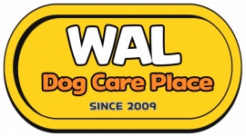 [제주애견카페왈 구억점] 제주도 애견카페 애견유치원 관리자 모집 - 사람인