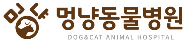 멍냥동물병원 채용 | 2025년 진행 중인 공고 - 사람인 멍냥동물병원 채용 | 2025년 진행 중인 공고  - 사람인