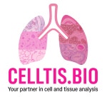 셀티스바이오 채용 | 2026년 진행 중인 공고 - 사람인 셀티스바이오 채용 | 2026년 진행 중인 공고  - 사람인