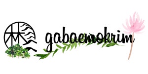 비에이치씨가배목림 직무리포트 | 2026년 합격전략, 역량체크, 멘토링 등 - 사람인