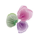[청담미한의원] 신입 , 경력직 우대 간호조무사 구합니다 - 사람인