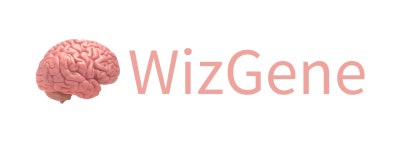 [위즈진(주)] [위즈진] 재무, 회계 담당자 채용 - 사람인