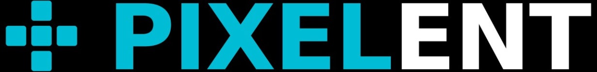 (주)픽셀런트 직무리포트 | 2026년 합격전략, 역량체크, 멘토링 등 - 사람인