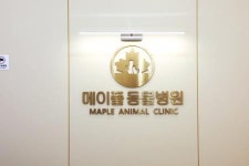 [메이플동물병원] 메이플동물병원(옥천)에서 근무하실 성실한 분 모십니다.(상시 채용) - 사람인