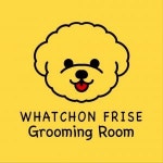 [왓숑미용] [왓숑프리제] 실장급 애견미용사 채용(D-29) - 사람인