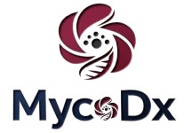 주식회사마이코디엑스(MycoDxCo.Ltd.) 채용 | 2026년 진행 중인 공고 1건 - 사람인 주식회사마이코디엑스(MycoDxCo.Ltd.) 채용 | 2026년...