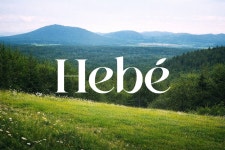 헤베(HEBE) 채용 | 2026년 진행 중인 공고 1건 - 사람인 헤베(HEBE) 채용 | 2026년 진행 중인 공고 1건  - 사람인
