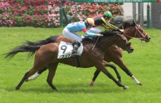 【３歳未勝利・中京５Ｒ】ラヴズオンリーユー全弟ディーンズリスタ... 【３歳未勝利・中京５Ｒ】ラヴズオンリーユー全弟ディーンズリスタ... 