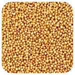 Frontier Co-op (프론티어코옵), 유기농 천연 겨자씨, 453g(16oz)