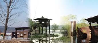 우포늪 탐방 - 따오기복원센터