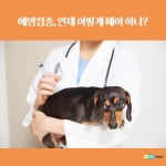 【질환상식】 예방접종, 언제 어떤 것 해야 하나 ⋆ 코코타임즈