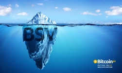 보이는것이 다인줄안다 - 비트코인에스브이 - 코인판