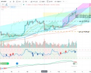 앞으로 더 갈거라고 예상하는 이유(Feat. USDT Volume) - 코인정보 - 코인판