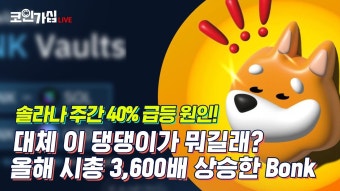 *솔라나구원투수 본크(BONK)코인 알아보자! - 코인정보 - 코인판
