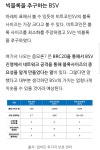 빅블록을 추구하는 BSV - 코인정보 - 코인판