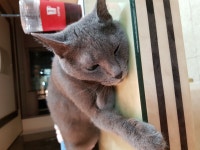 빜케 ! ! 탱~~큐 쏘~~ 머치 ~~^^ - 메이저코인 - 코인판 빜케  !  !   탱~~큐 쏘~~  머치  ~~^^ - 메이저코인 - 코인판