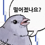 아직 추세는 하방인거같은 느낌 - 선물/마진 게시판 - 코인판