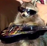 1분봉으로 보는 버지와의 혈투 - 선물/마진 게시판 - 코인판