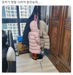 조카랑 숨바꼭질 하기 ㅋㅋㅋㅋㅋ - 자유게시판 - 코인판