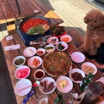 부산 오륜대 - 자유게시판 - 코인판