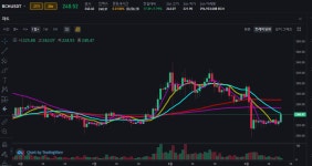 BCH - 자유게시판 - 코인판