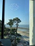 당진 쌈밥먹고 카페왔다 - 자유게시판 - 코인판