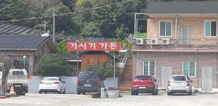 궁금해 - 자유게시판 - 코인판 - 가상화폐 커뮤니티, 비트코인 김프 사이트, 김치프리미엄, 빗썸, 업비트 시세, 갤러리