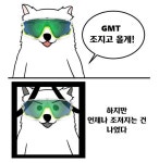 gmt 쇼부다! ㅅㅂ련아 어디까지 뺄수있을것같냐? - 자유게시판 - 코인판