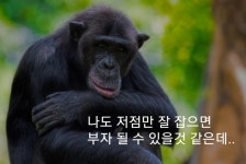 알트 하따 째리는거 적어봐봐 - 자유게시판 - 코인판