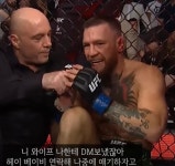 니 와이프가 나한테 DM 보냈잖아 - 자유게시판 - 코인판