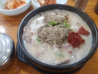 이번 순대국은 실하냐 - 자유게시판 - 코인판