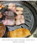 비계 삼겹살 논란 터진 제주, 이번엔 원산지 속여 - 자유게시판 - 코인판
