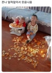 동생 귤까주다가 지친 어린이... - 자유게시판 - 코인판