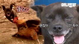 하 시발 회복하네.. 개시발 떨어쟈라 - 자유게시판 - 코인판