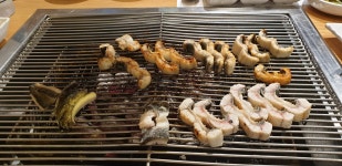 칭구네 가계 아이스커피 두잔과 교환한 장어구이 - 자유게시판 - 코인판 칭구네 가계 아이스커피 두잔과  교환한 장어구이 - 자유게시판 - 코인판