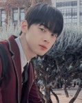 미용실에서 이렇게 댄디컷으로 잘라달라고하면 - 자유게시판 - 코인판