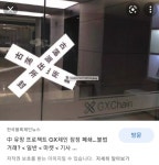 개미들이 피눈물흘리게한 지엑스코인에 대해알아보자 - 자유게시판 - 코인판