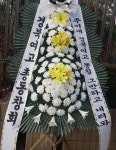 여고 동창회 - 자유게시판 - 코인판