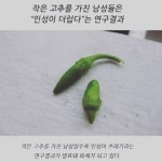 작은고추 다들어와바 - 자유게시판 - 코인판