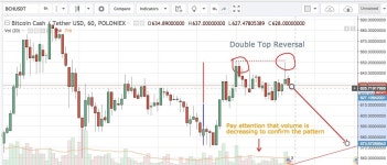 치킨(BCH) 악재 - 자유게시판 - 코인판