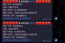 청산 지렸다 - 자유게시판 - 코인판